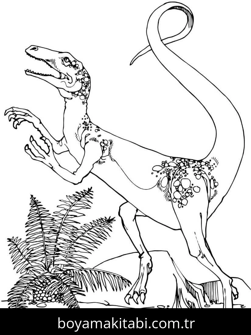 Coelophysis Dinazor boyama sayfası – keyifli zaman, renkli çizimler