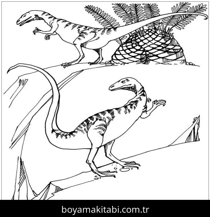 Coelophysis Dinazor boyama sayfası – evde etkinlik, ücretsiz yazdır