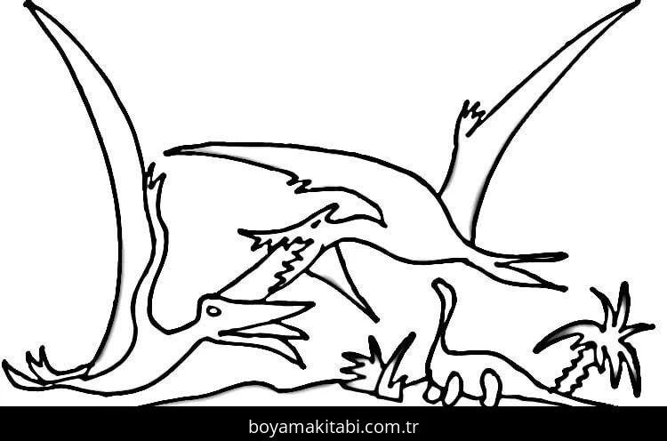 Pterodactyl Dinazor boyama sayfası – okul öncesi, evde etkinlik