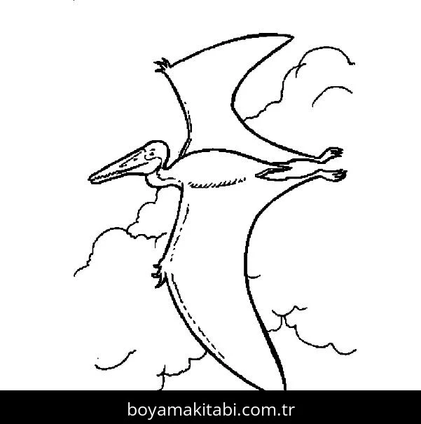 Pterodactyl Dinazor boyama sayfası – boyama etkinliği, çocuk aktivitesi