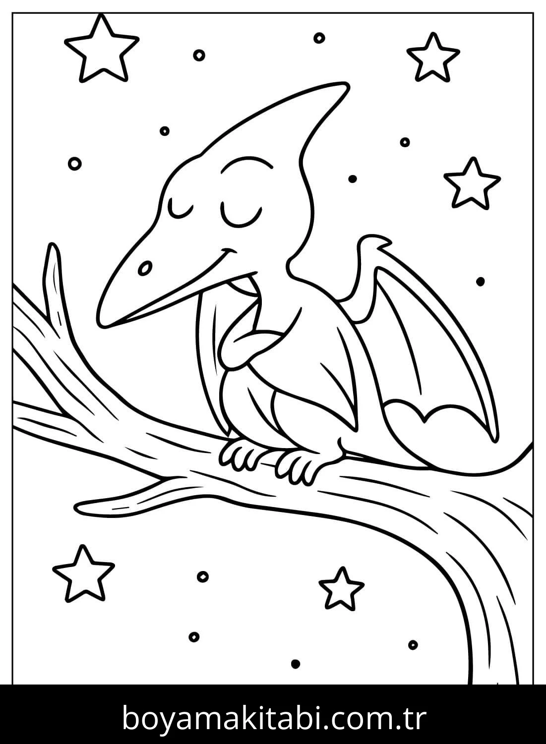 Pterodactyl Dinazor boyama sayfası – eğitici aktivite, yaratıcılık
