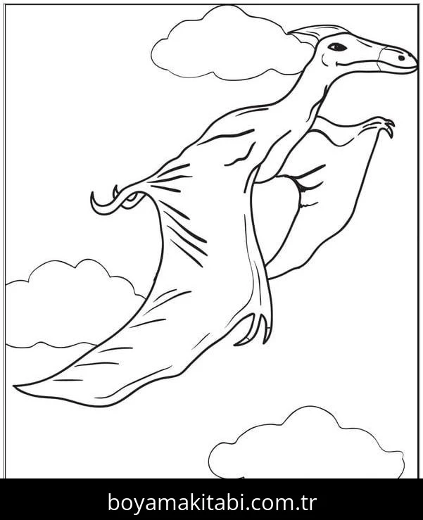 Pterodactyl Dinazor boyama sayfası – keyifli zaman, renkli çizimler