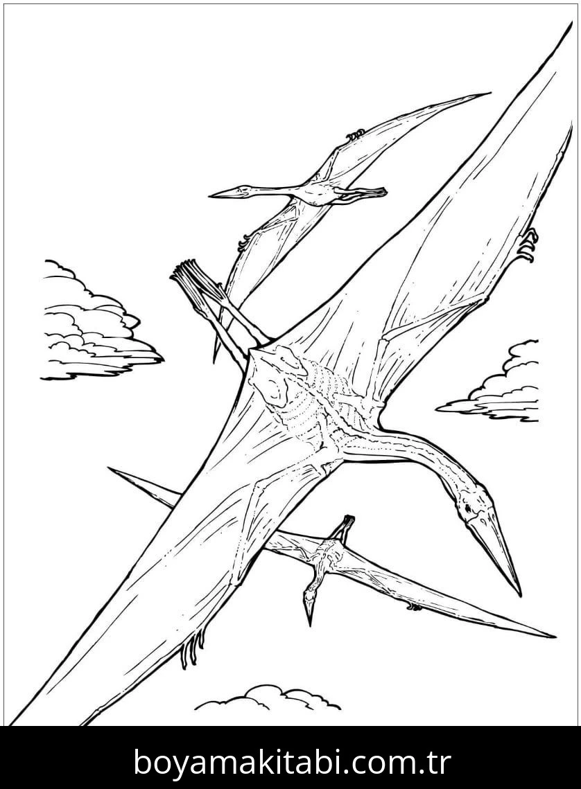 Pterodactyl Dinazor boyama sayfası – basit çizim, kolay boyama