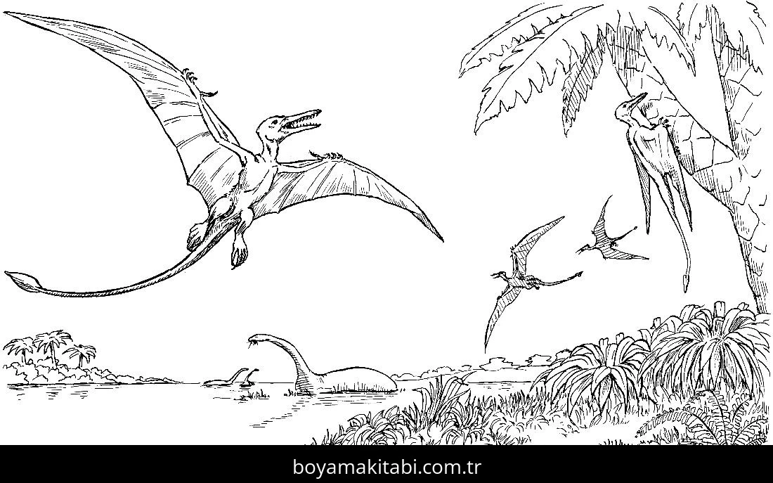 Pterodactyl Dinazor boyama sayfası – yaratıcılık, eğlenceli etkinlik