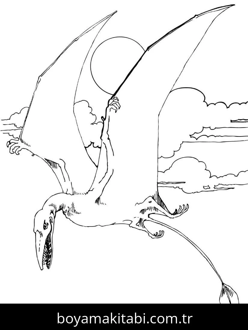 Pterodactyl Dinazor boyama sayfası – boyama çalışması, yaratıcılığı geliştirir