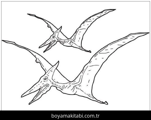 Pterodactyl Dinazor boyama sayfası – renkli çizimler, okul öncesi