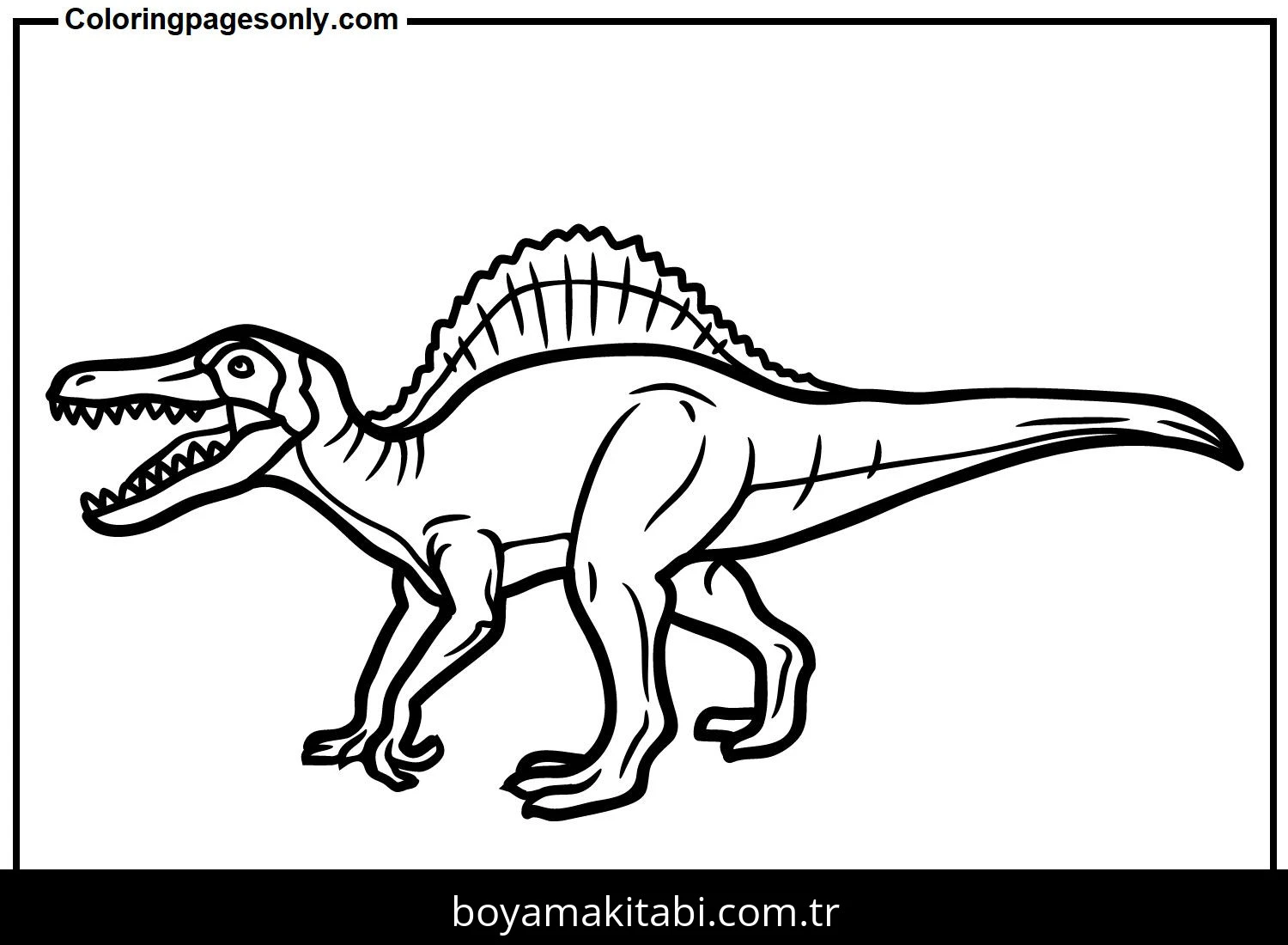 Spinosaurus Dinazor boyama sayfası – boyama çalışması, yaratıcılığı geliştirir