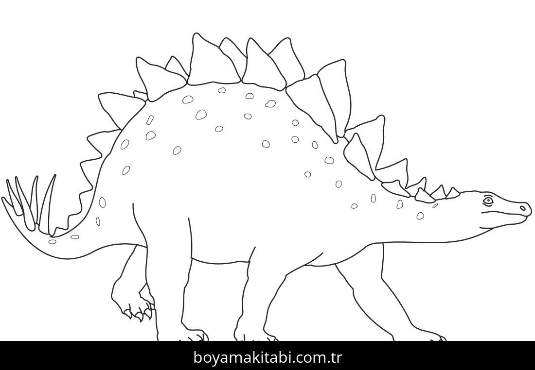 Stegosaurus Dinazor boyama sayfası – çizgi film temalı, basit çizim