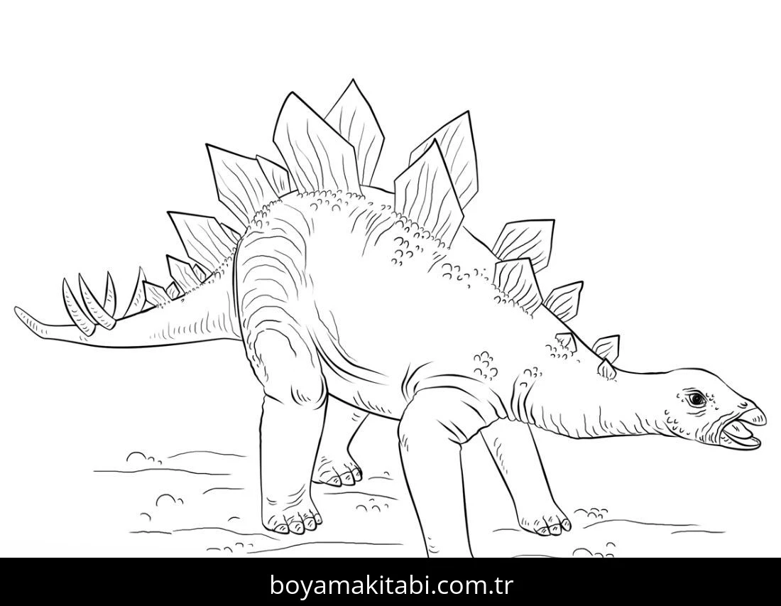 Stegosaurus Dinazor boyama sayfası – sanatsal çalışma, çocuklar için