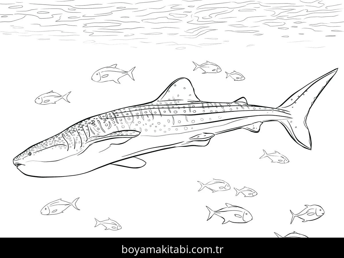Hayvanlar boyama sayfası #167 – günlük etkinlik önerisi, kolay boyama