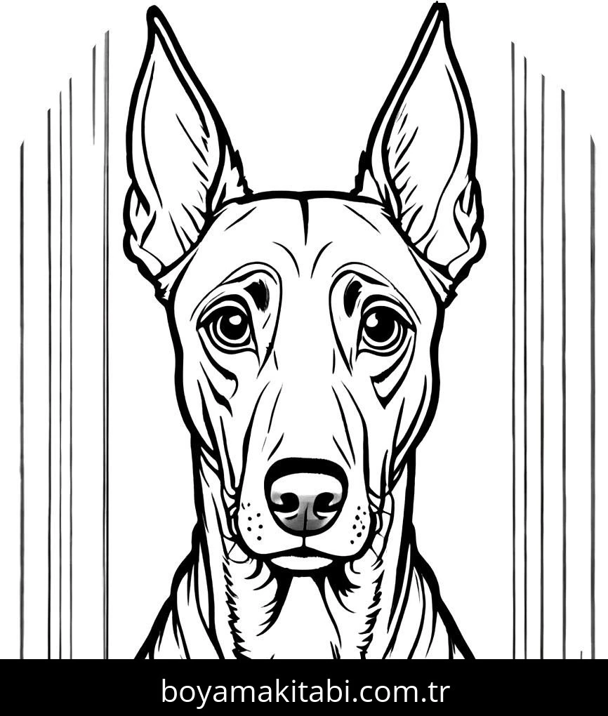 Köpek boyama sayfası #641 – eğlenceli öğrenme deneyimi, okul öncesi