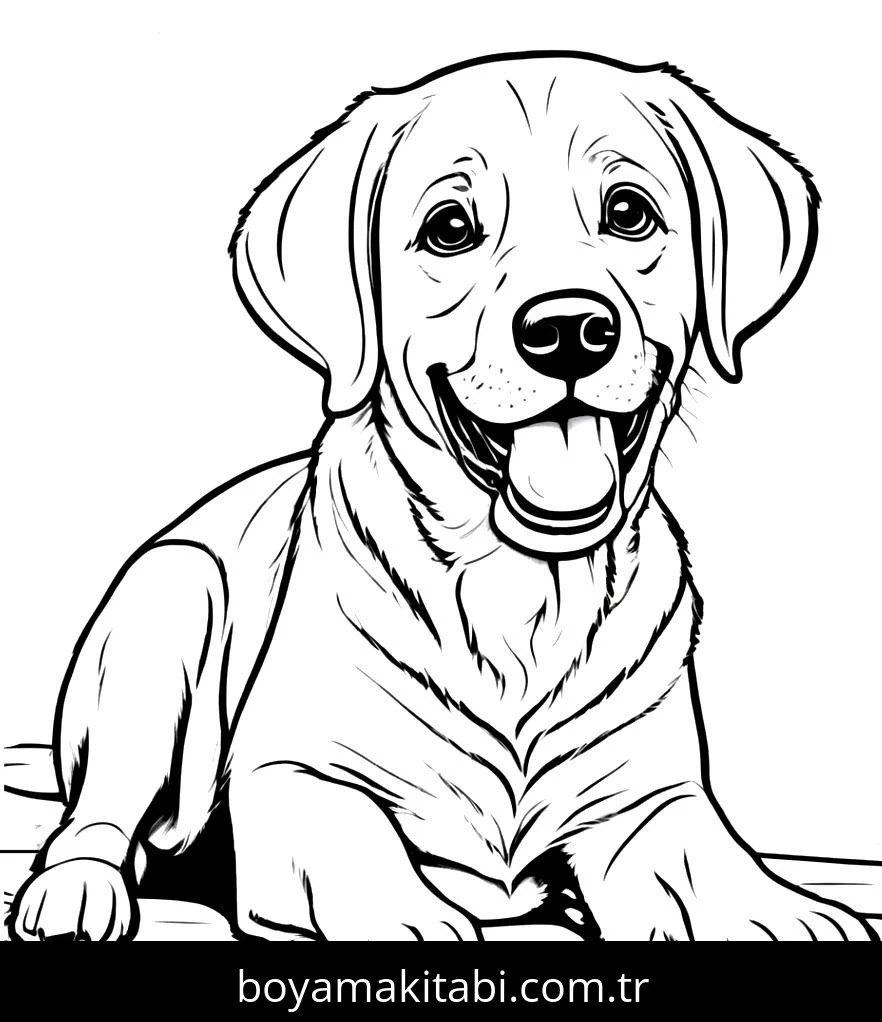 Köpek boyama sayfası #648 – okul öncesi, evde etkinlik