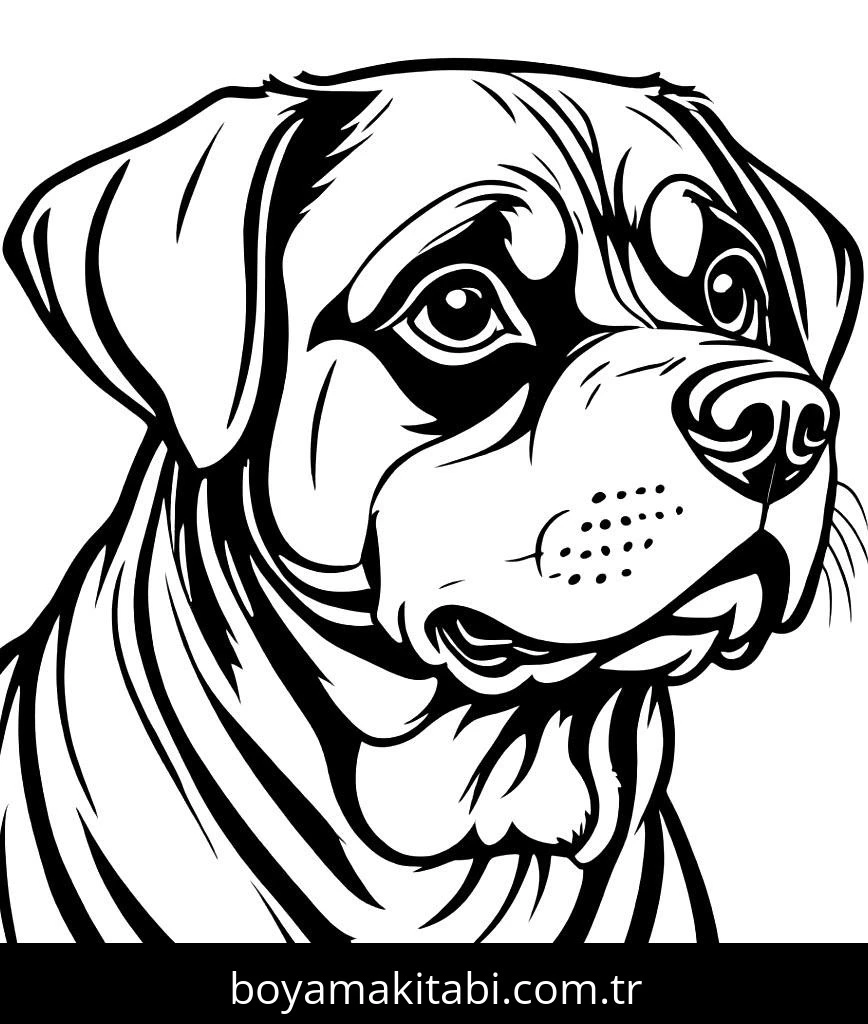 Köpek boyama sayfası #664 – aile ile vakit geçirme, renk bilgisini öğretir