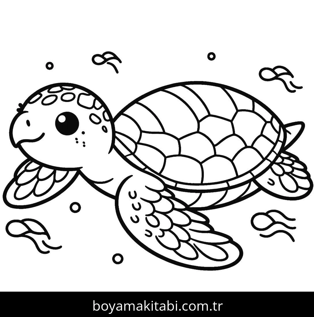 Kaplumbağa boyama sayfası – keyifli zaman, renkli çizimler