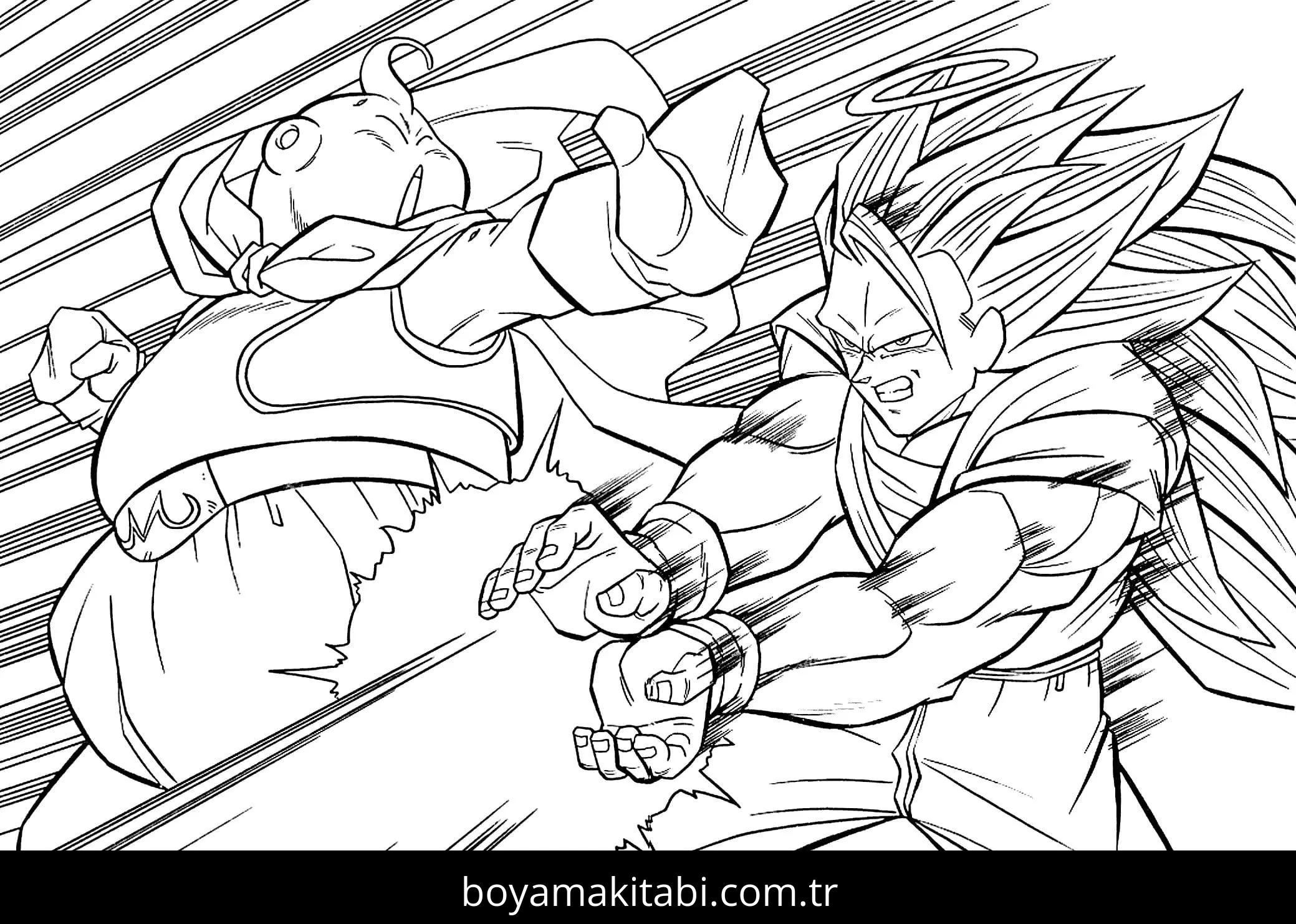 Dragon Ball Boyama