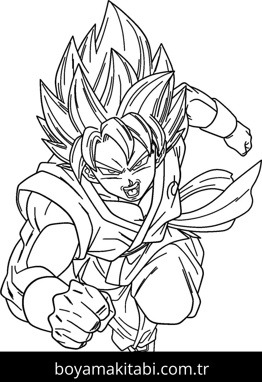 Dragon Ball Boyama