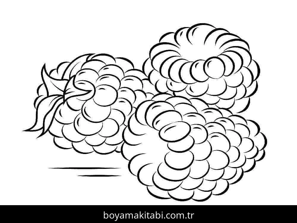 Ahududu boyama sayfası – kolay boyama, eğitici aktivite