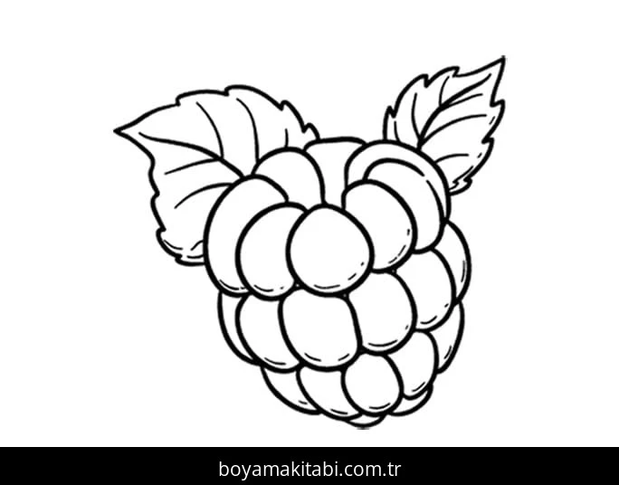 Ahududu boyama sayfası – basit çizim, kolay boyama