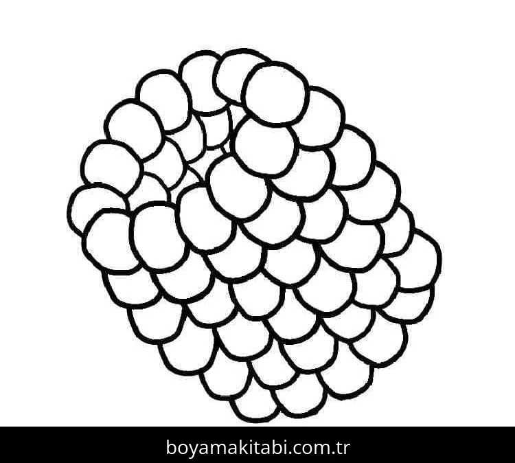 Ahududu boyama sayfası – çocuklar için, çizgi film temalı