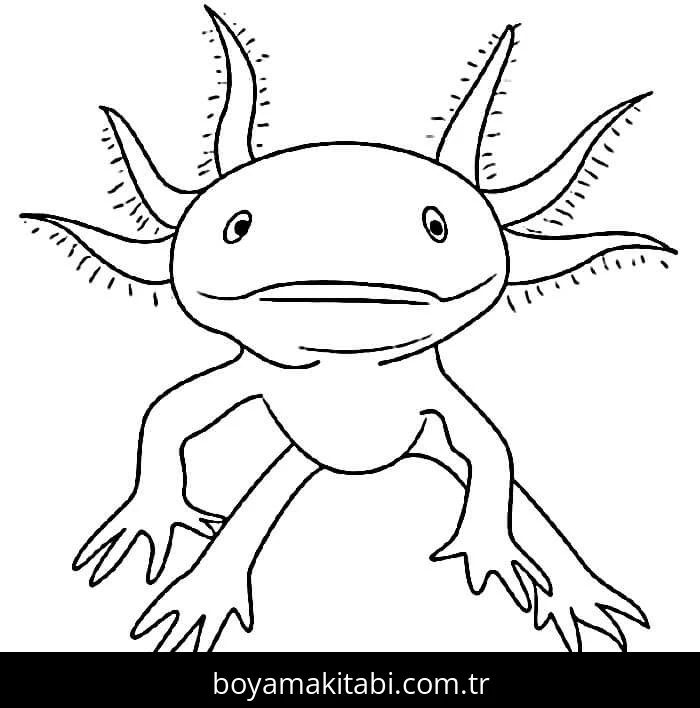 Aksolotl boyama sayfası – yaratıcılığı geliştirir, keyifli zaman