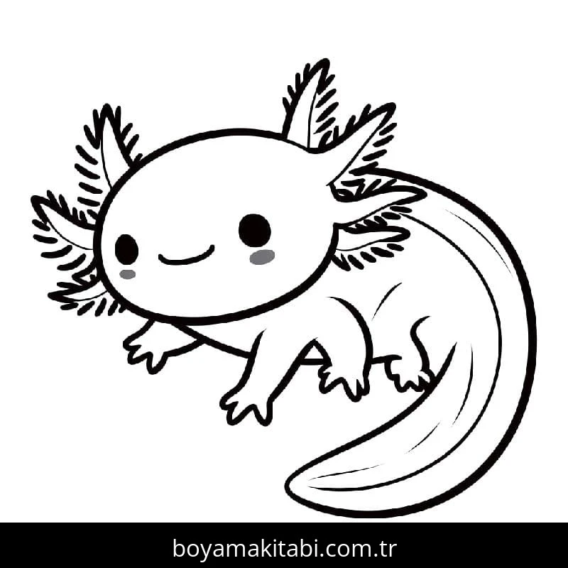 Aksolotl boyama sayfası – keyifli zaman, renkli çizimler
