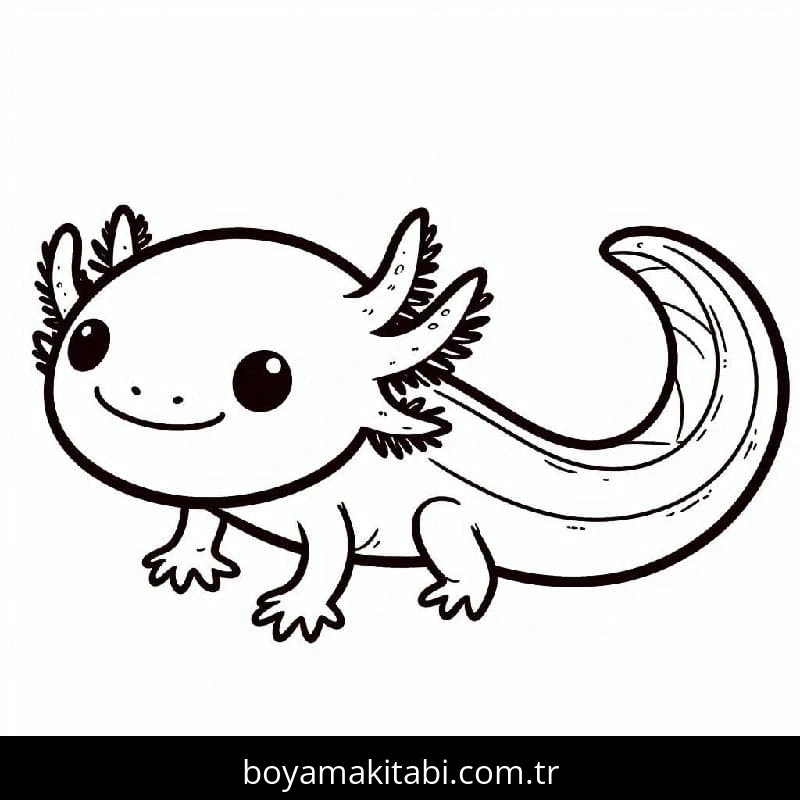 Aksolotl boyama sayfası – evde etkinlik, ücretsiz yazdır
