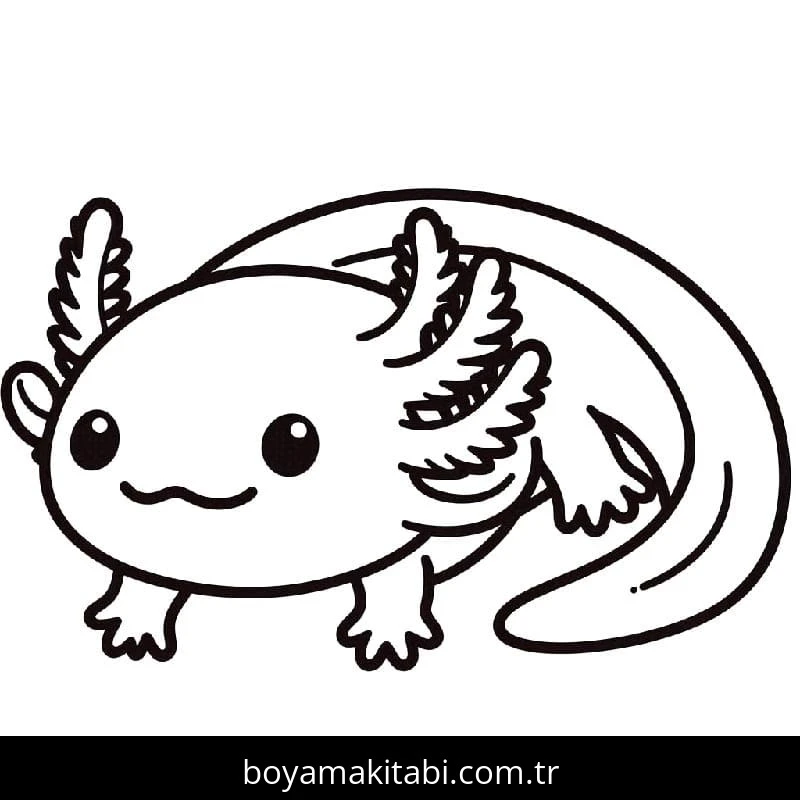 Aksolotl boyama sayfası – yaratıcılık, eğlenceli etkinlik