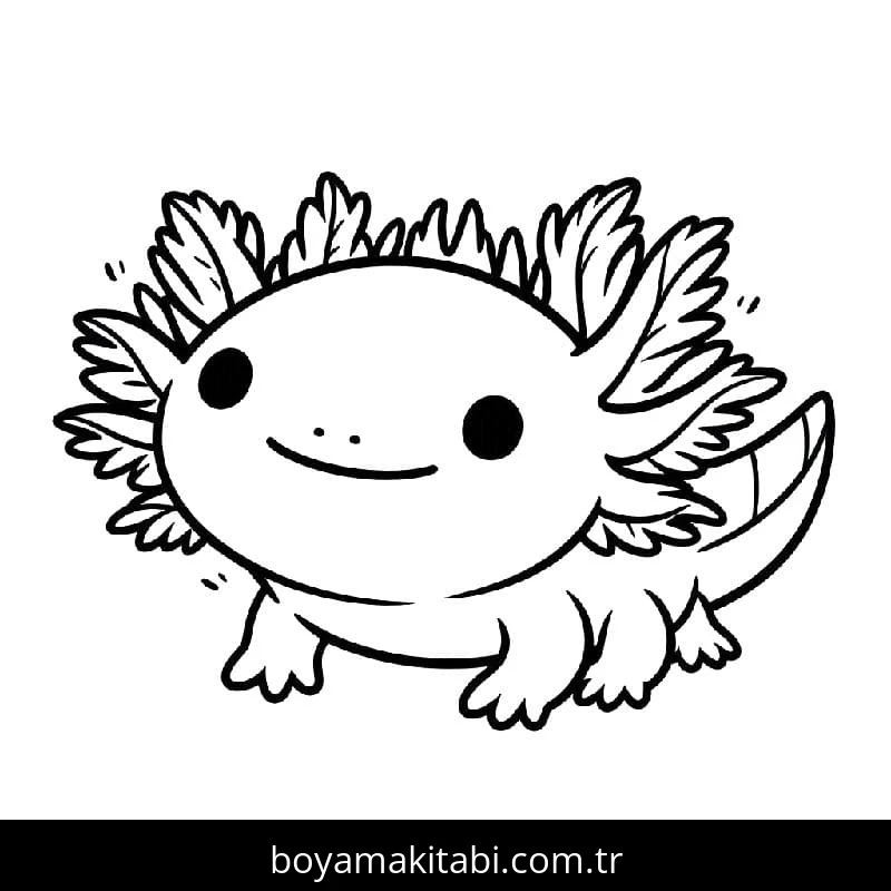 Aksolotl boyama sayfası – boyama çalışması, yaratıcılığı geliştirir