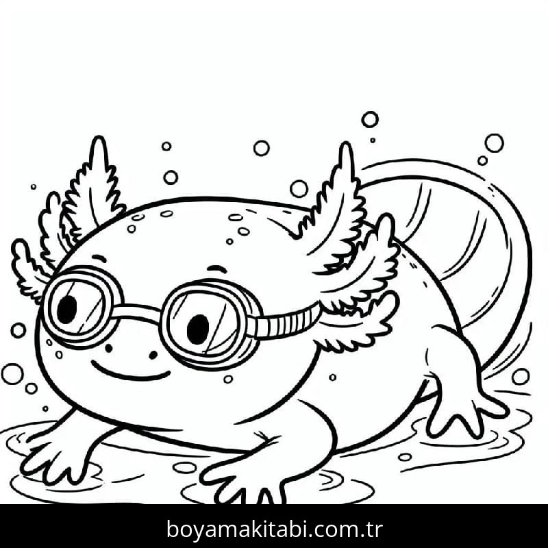 Aksolotl boyama sayfası – ücretsiz yazdır, boyama etkinliği
