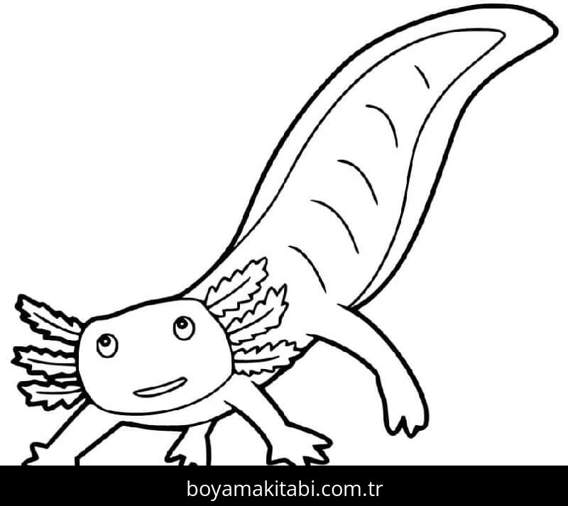 Aksolotl boyama sayfası – yaratıcılığı geliştirir, keyifli zaman