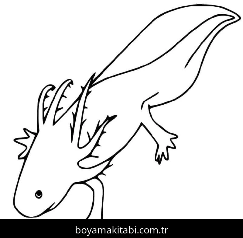Aksolotl boyama sayfası – el becerilerini geliştirir, boyama çalışması