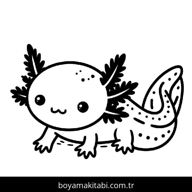 Aksolotl boyama sayfası – evde etkinlik, ücretsiz yazdır
