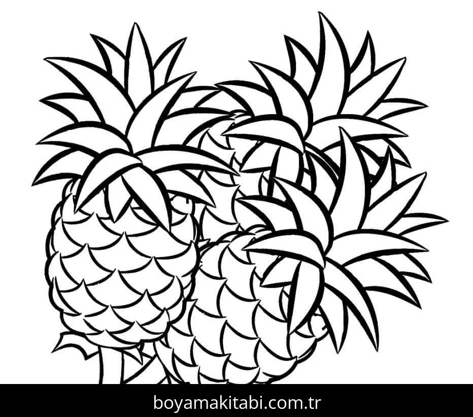 Ananas boyama sayfası – el becerilerini geliştirir, boyama çalışması