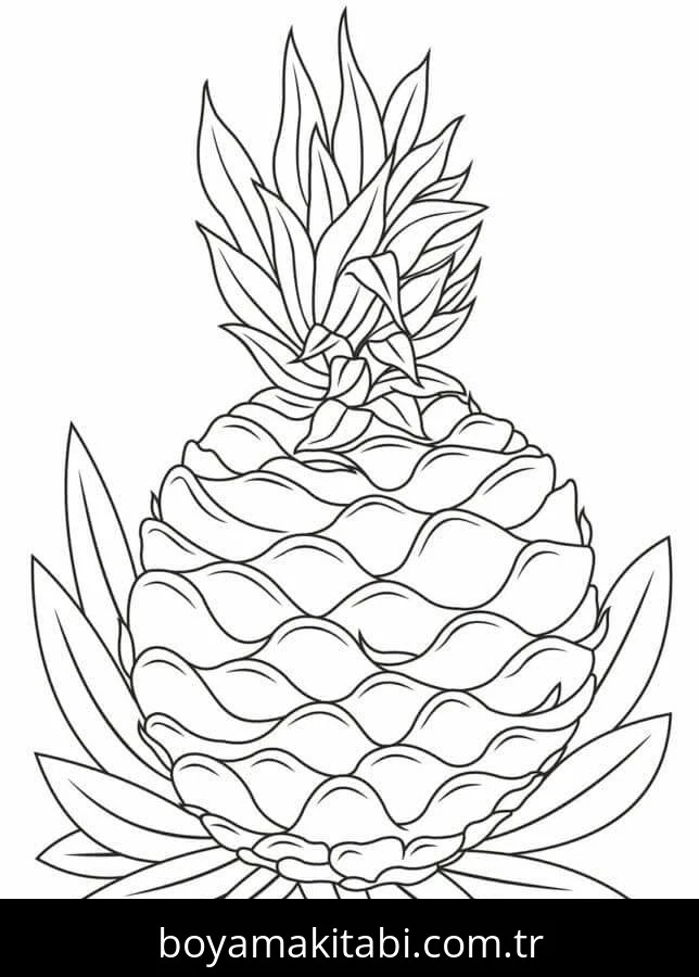 Ananas boyama sayfası – çocuk aktivitesi, PDF indir