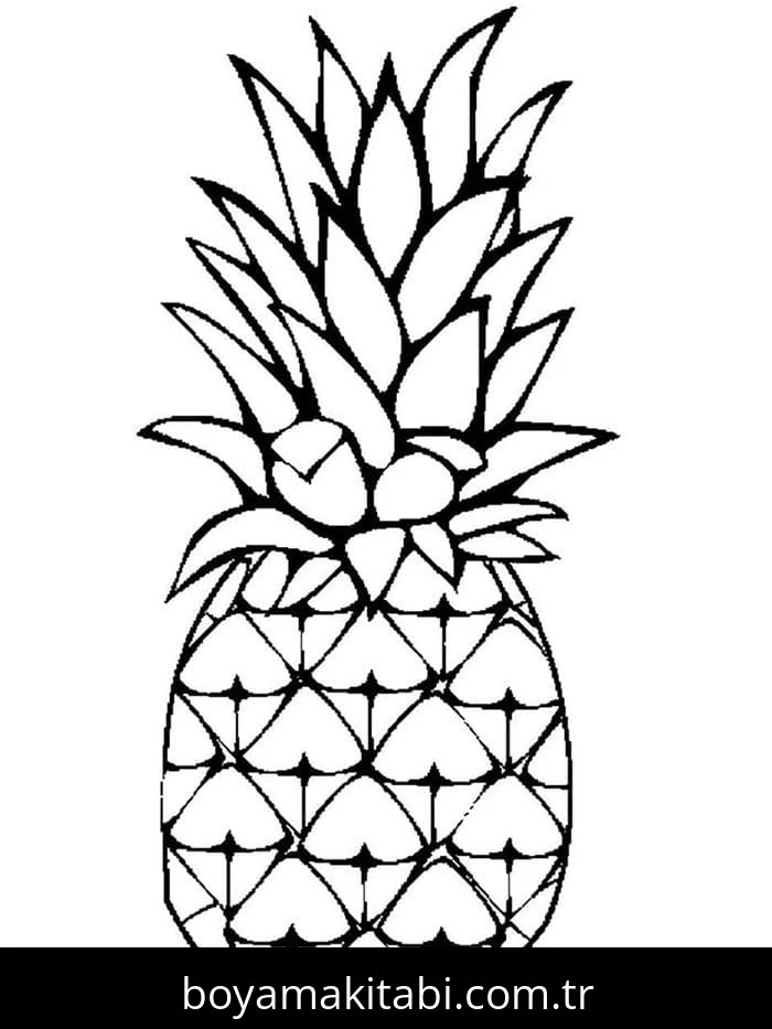 Ananas boyama sayfası – sanatsal çalışma, çocuklar için