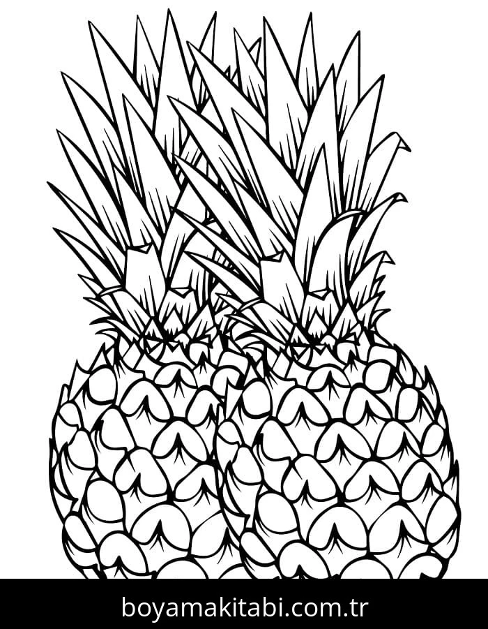 Ananas boyama sayfası – yaratıcılık, eğlenceli etkinlik