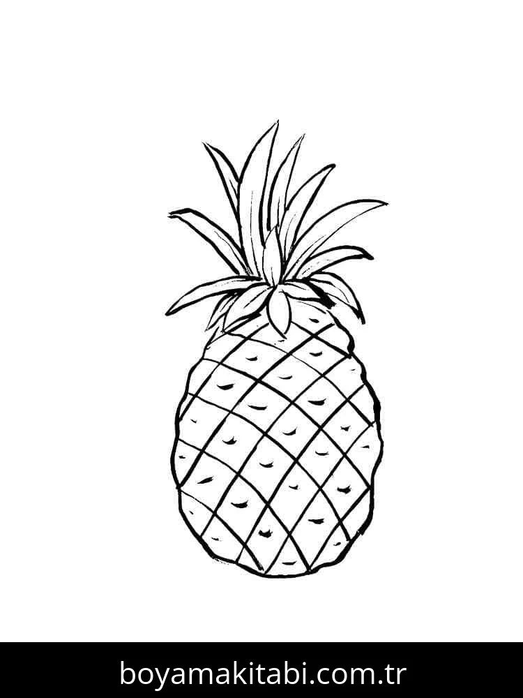 Ananas boyama sayfası – ücretsiz yazdır, boyama etkinliği