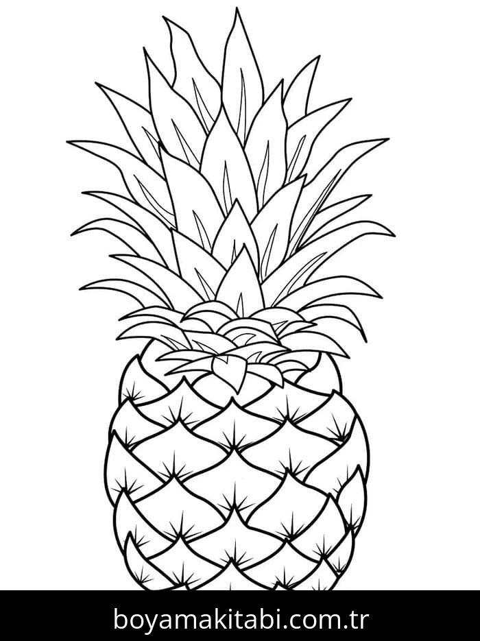 Ananas boyama sayfası – PDF indir, sevimli karakter
