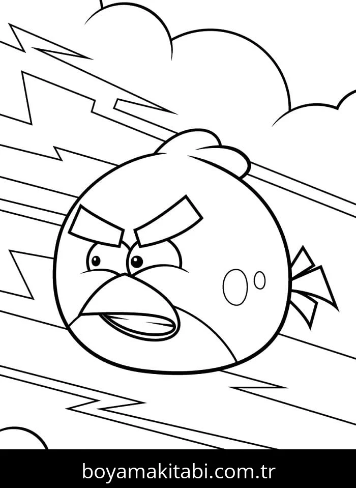 Angry Birds boyama sayfası – renkli çizimler, okul öncesi