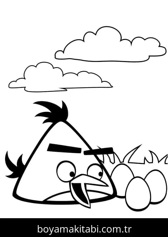 Angry Birds boyama sayfası – el becerilerini geliştirir, boyama çalışması