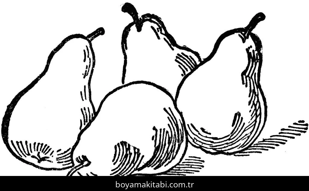 Armut boyama sayfası – basit çizim, kolay boyama