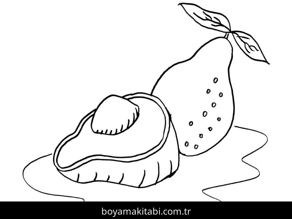 Avokado boyama sayfası – kolay boyama, eğitici aktivite