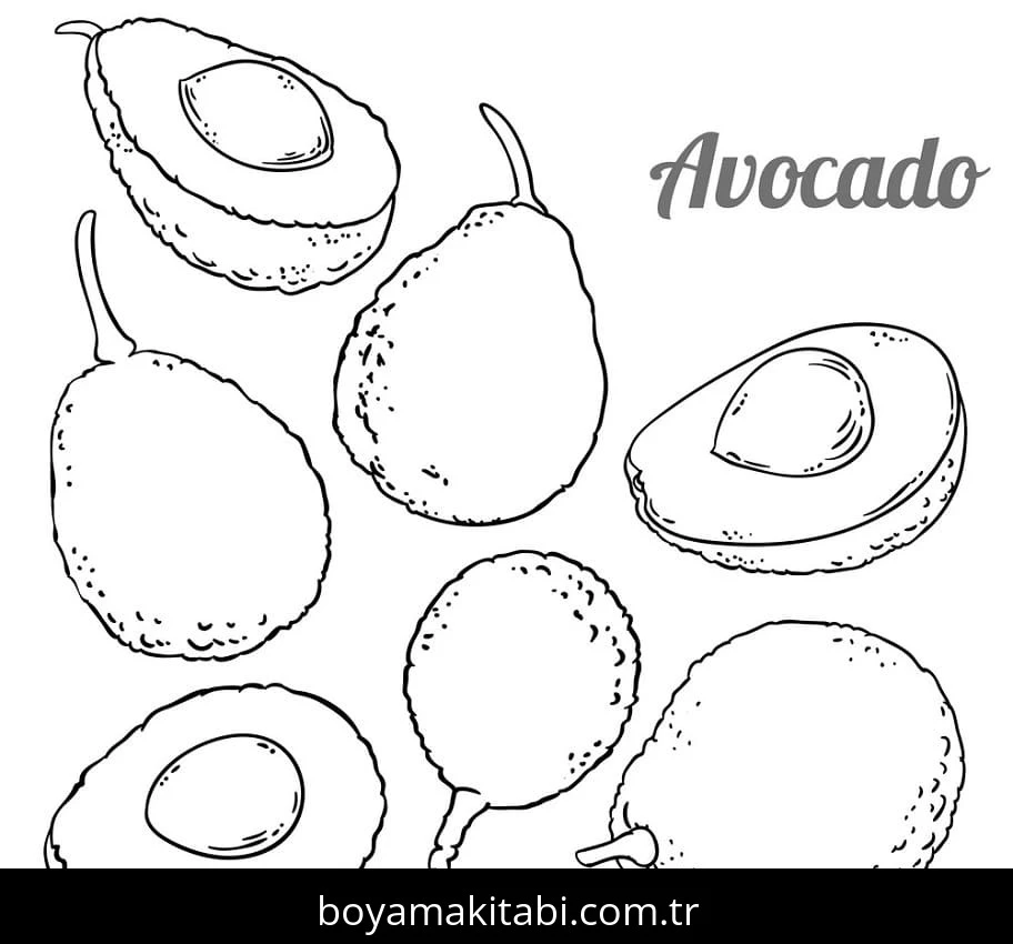 Avokado boyama sayfası – el becerilerini geliştirir, boyama çalışması