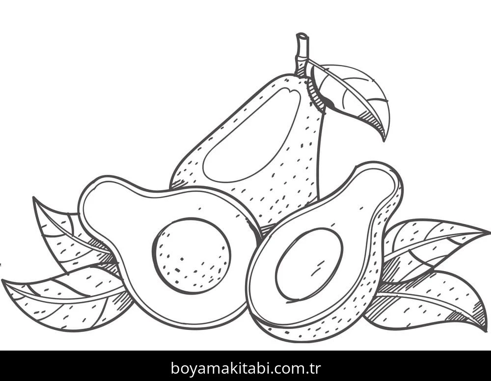 Avokado boyama sayfası – keyifli zaman, renkli çizimler