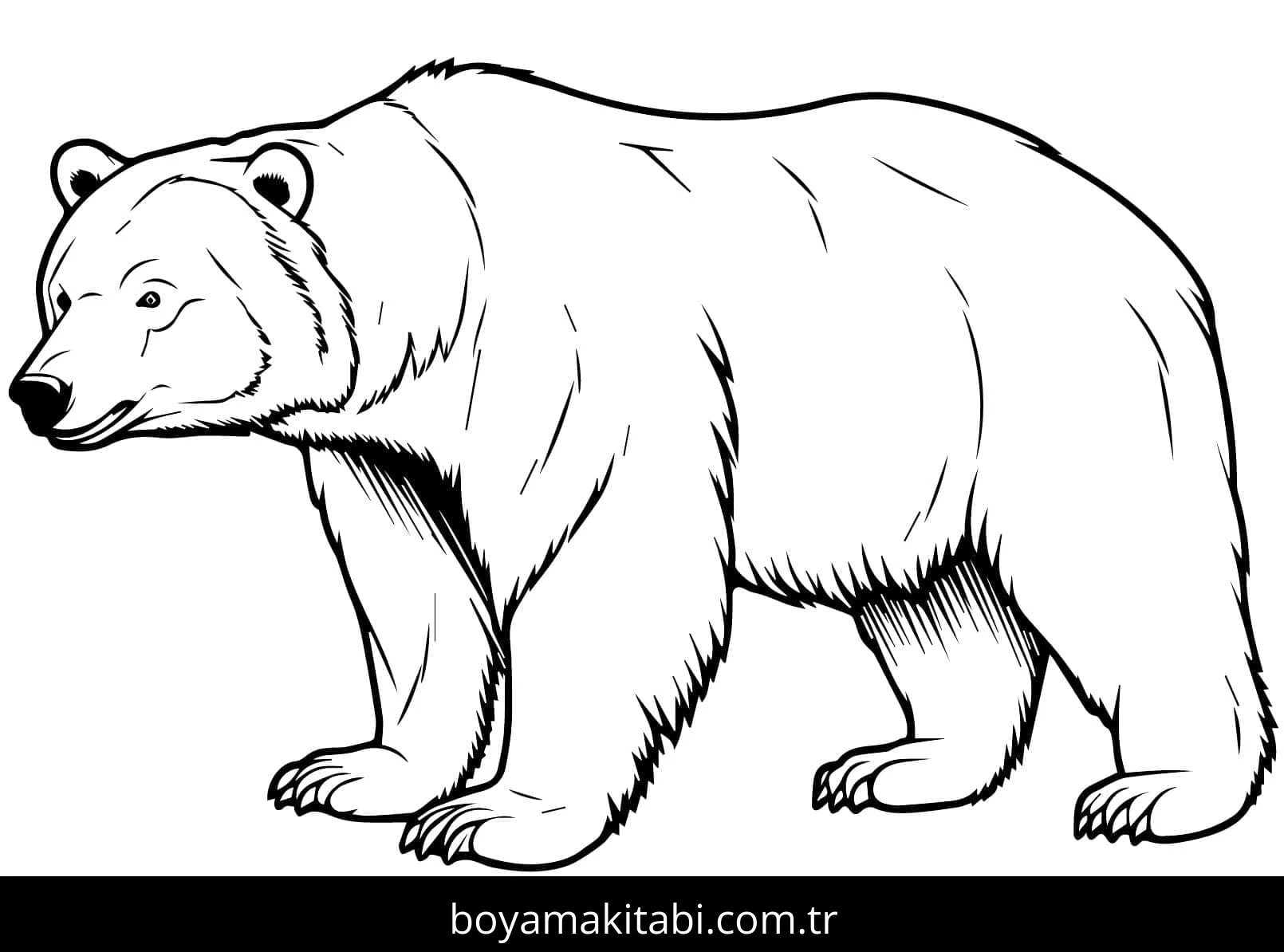 Ayı boyama sayfası – yaratıcılık, eğlenceli etkinlik