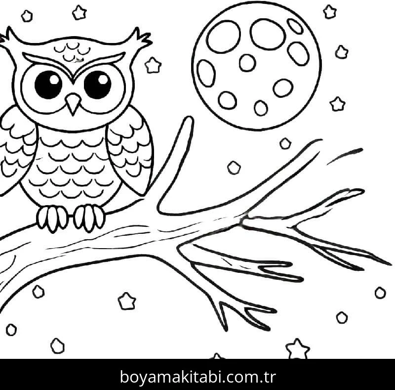 Baykuş boyama sayfası – keyifli zaman, renkli çizimler
