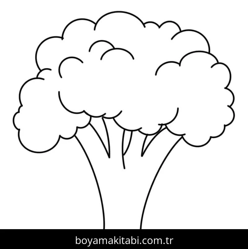 Brokoli Boyama