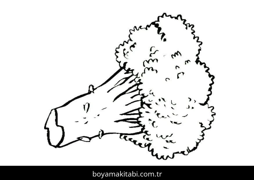 Brokoli boyama sayfası – el becerilerini geliştirir, boyama çalışması