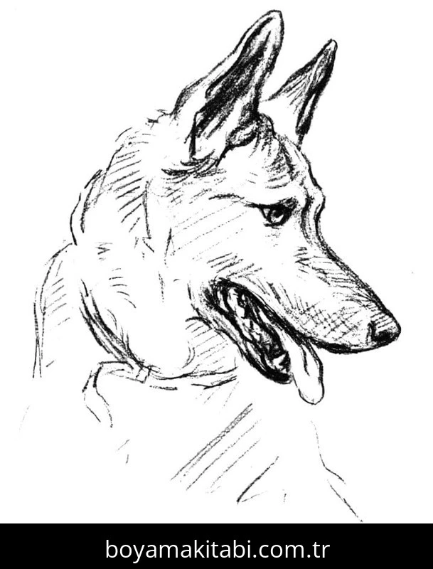 Çoban Köpeği boyama sayfası – çocuk aktivitesi, PDF indir