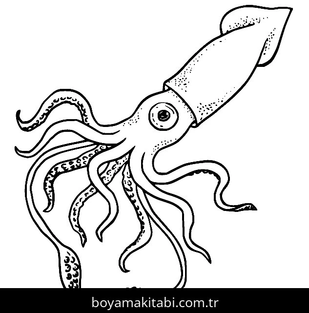 Ahtapot Boyama